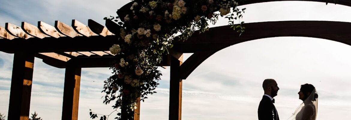 LMG Imagery Photos