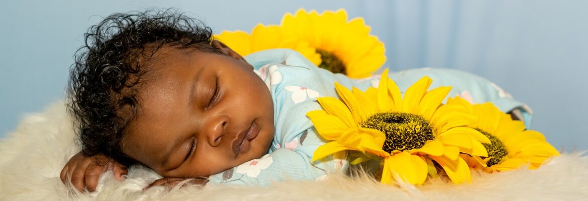 Focused Moments Photography
