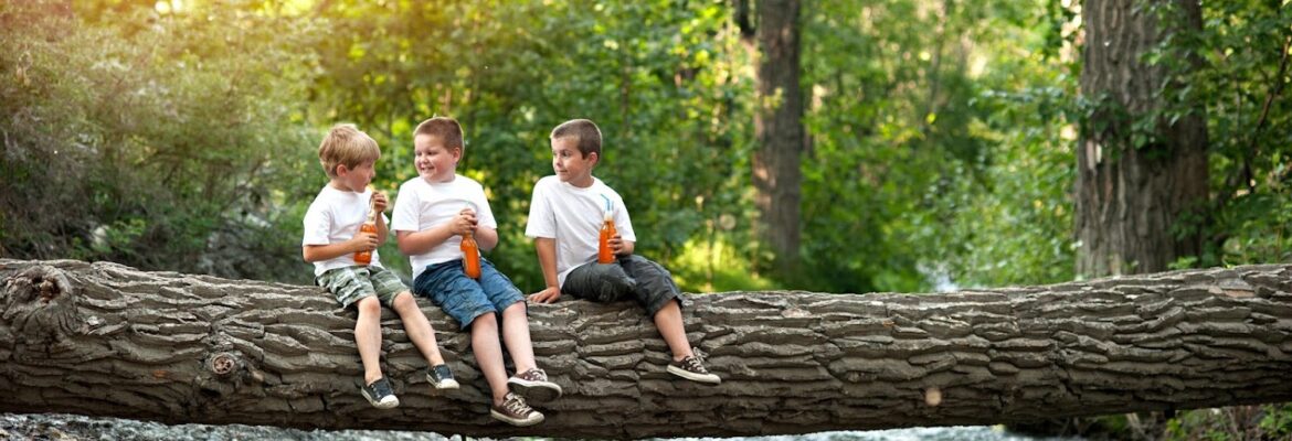 Leslie Meadow Photography