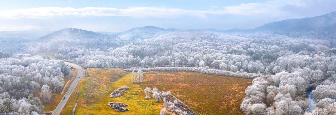 Capturing Corvin Photography