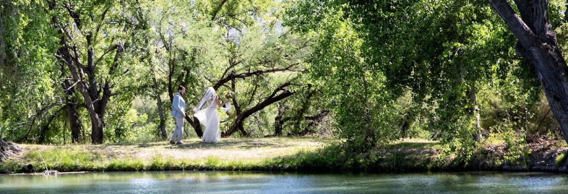 Blushing Cactus Photography