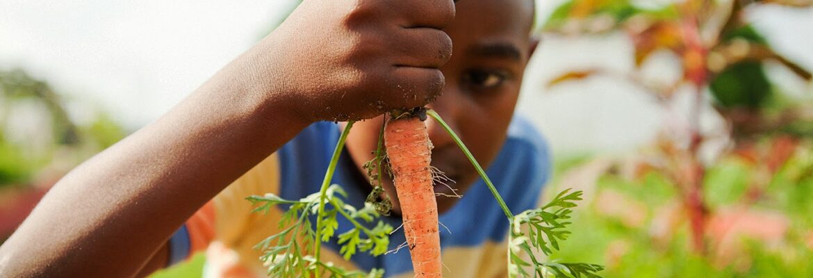 Cary Norton Photographs