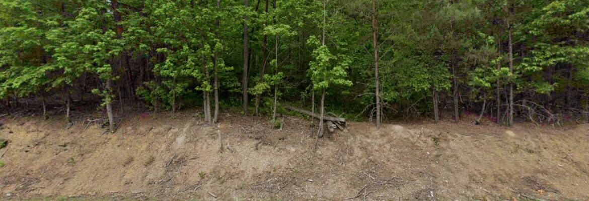 Randy Daniel Photography