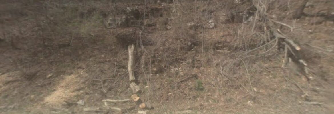 Toni Albers Photography