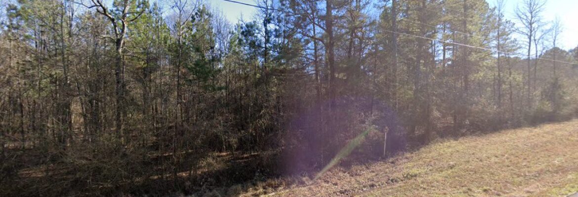 Holly Alexander Photography