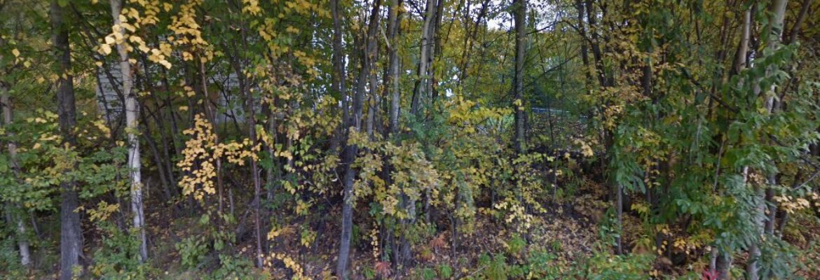 Creative Memories Consultant