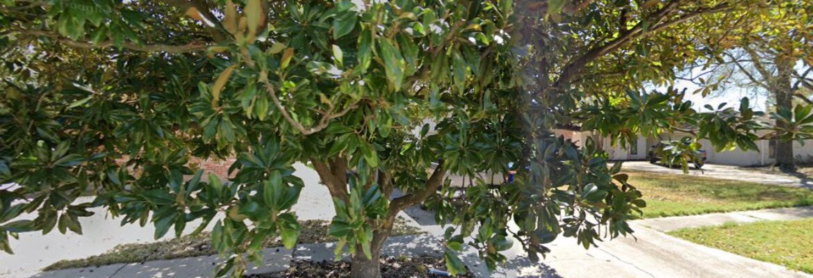 John Carlo Productions