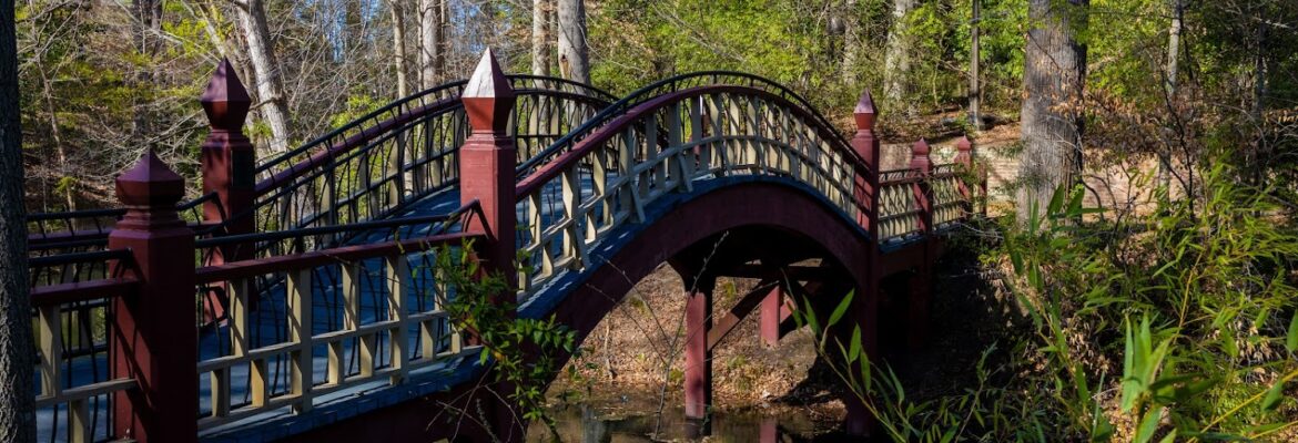 Chris Lusk Photography