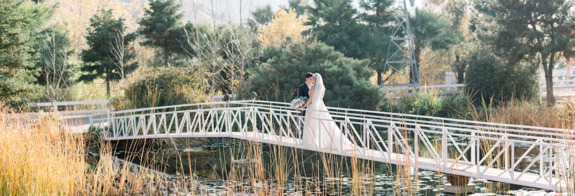Vivian Morrow Photography