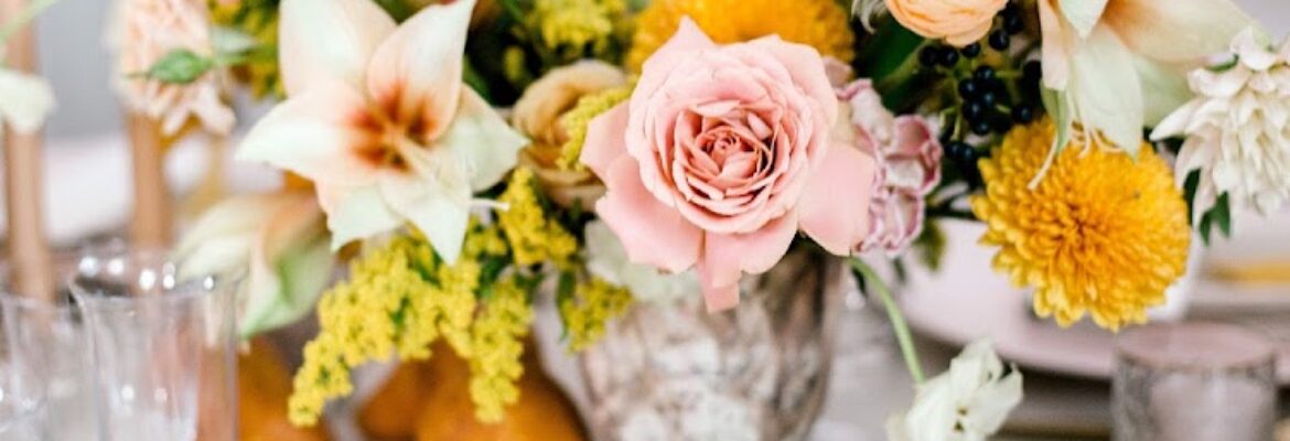 Sarah Zimmerman Photography