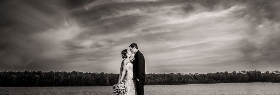 Mollan Photography