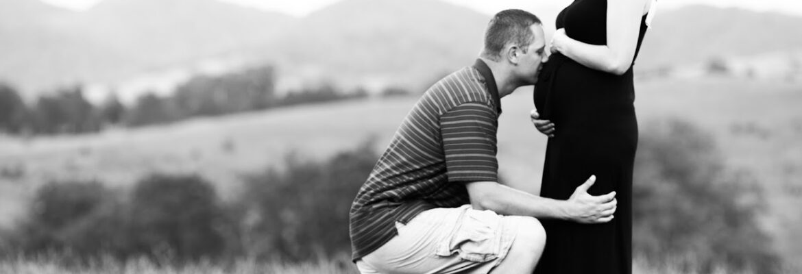 Robin Collins Photography