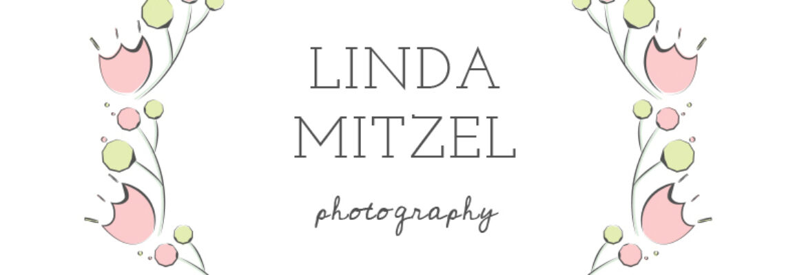 Linda Mitzel Photography