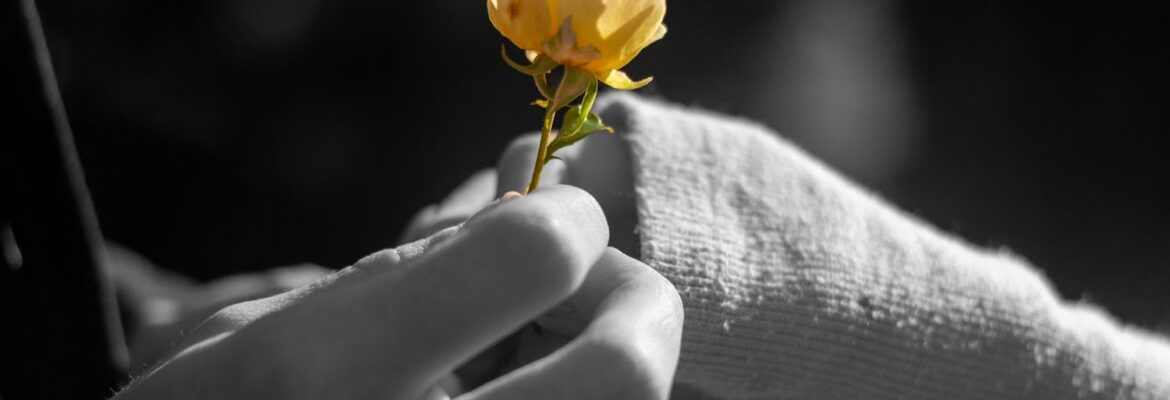 AbovePAR Photography