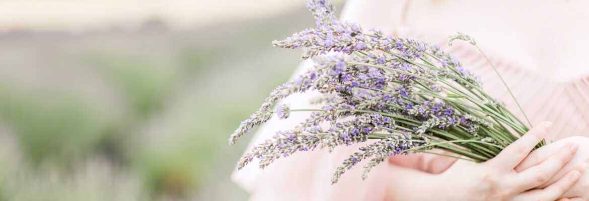 Lavender Lemonade Photography