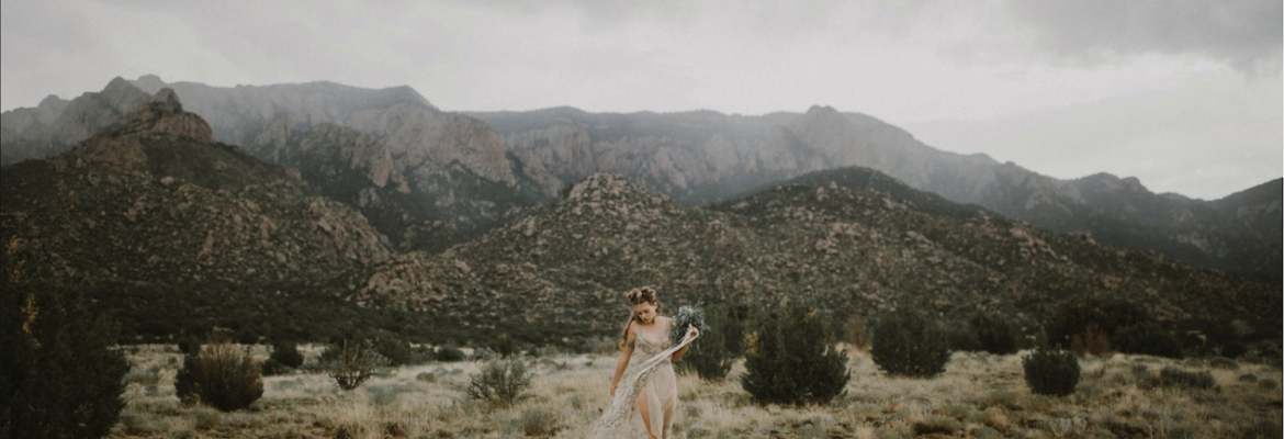 Blue Rose Photography Studio