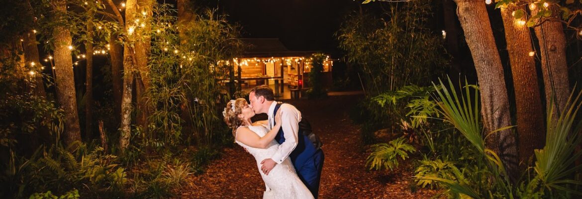 Alice’s Art Gallery