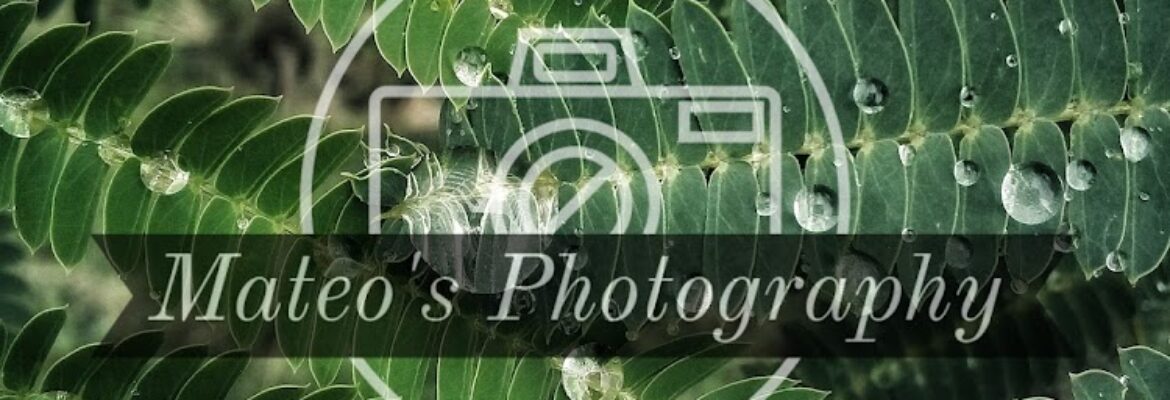 Mateo’s Photography