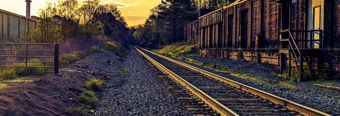 The Pin Up Photographer