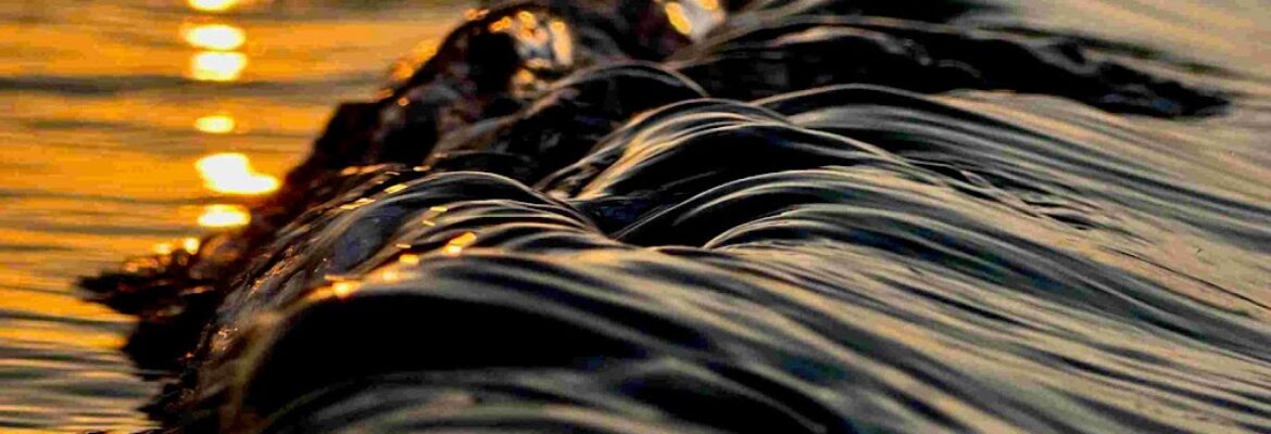 Sheryl Sabol Photography