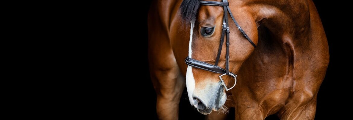 RWP Photography LLC