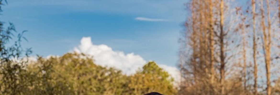 Captured By Clarissa