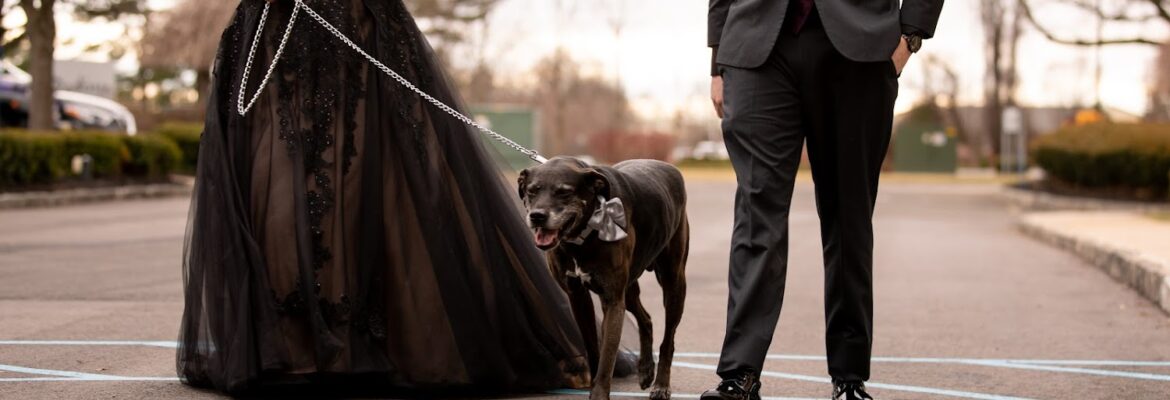 Wild Hearts | Wedding Photography & Decor