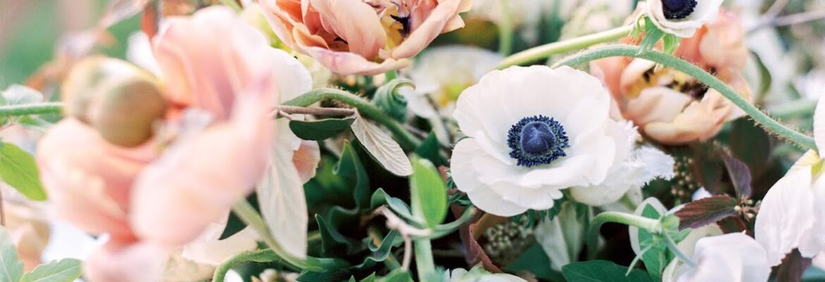 Mike Cassimatis Photography