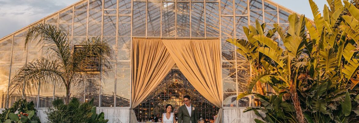 Kindred Wedding Storytellers