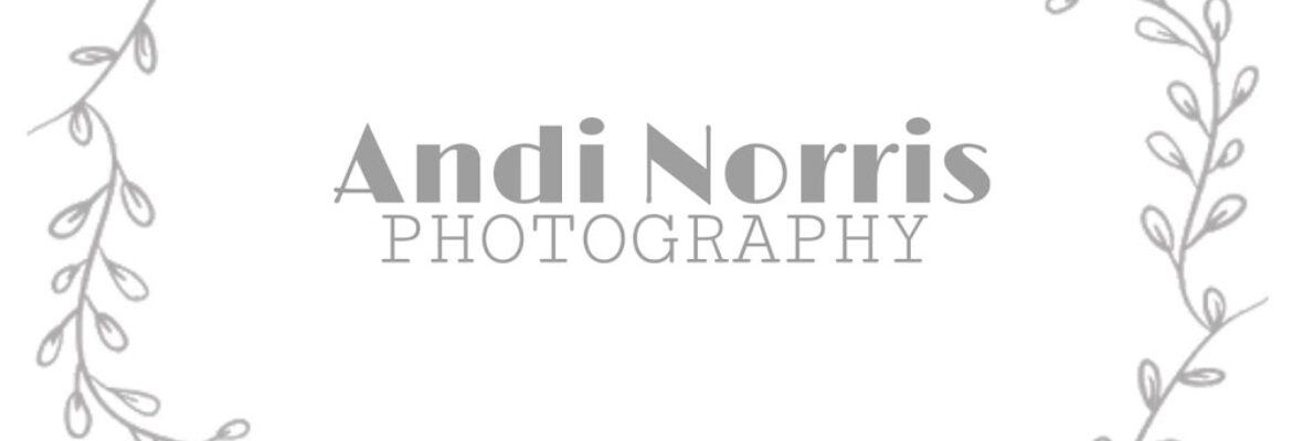 Andi Norris Photography