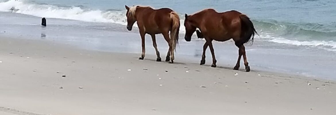 Outer Banks Photography, Inc.