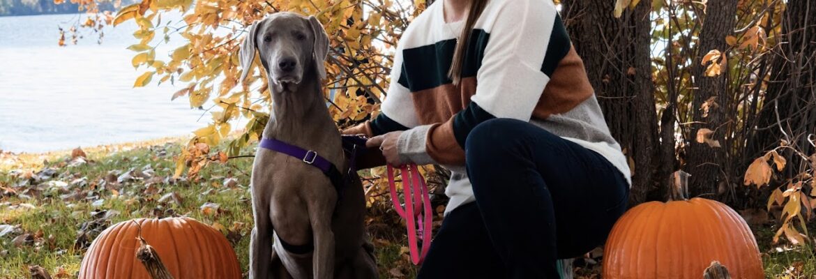 HD Photography & Design