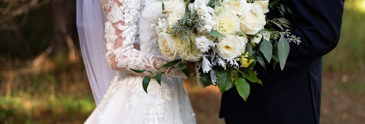 Behringer Photography