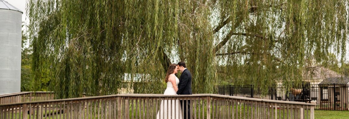 Heaven Sent Photography