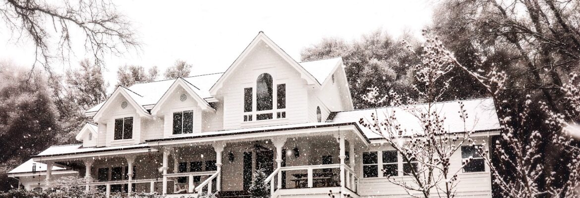 Renee Smith Photography