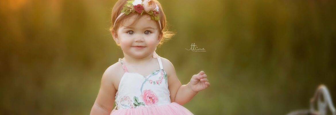 Three Little Chickadees Photography