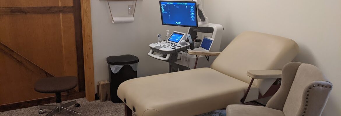 Peek A Boo HD Imaging 3D/4D Ultrasound