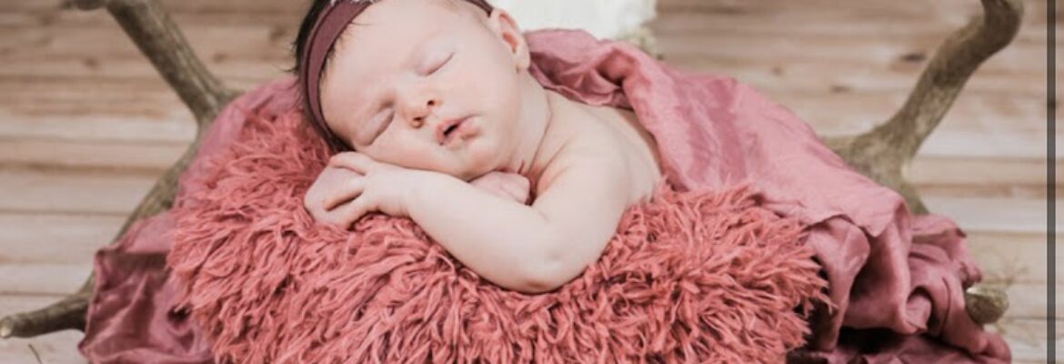 Lyndee Design Photo