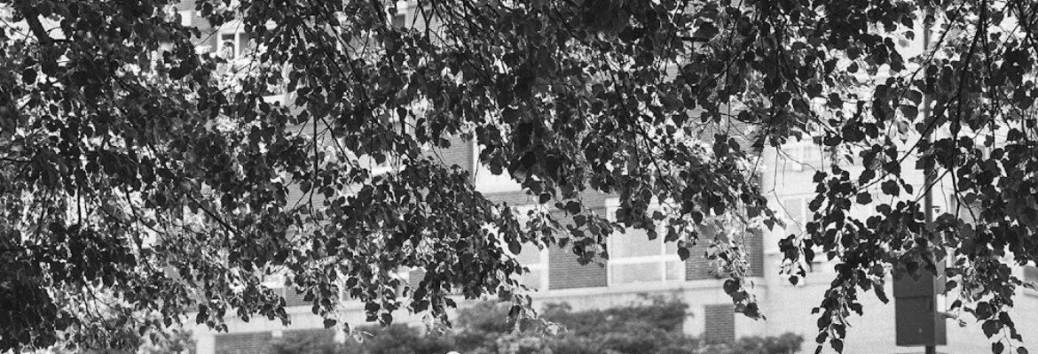 Mind On Photography