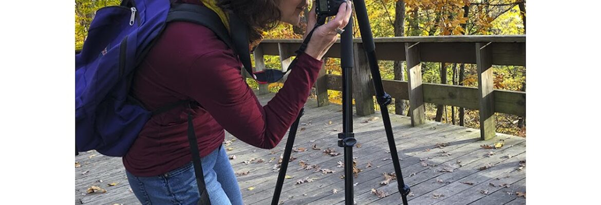 Lisa Seligman Photography