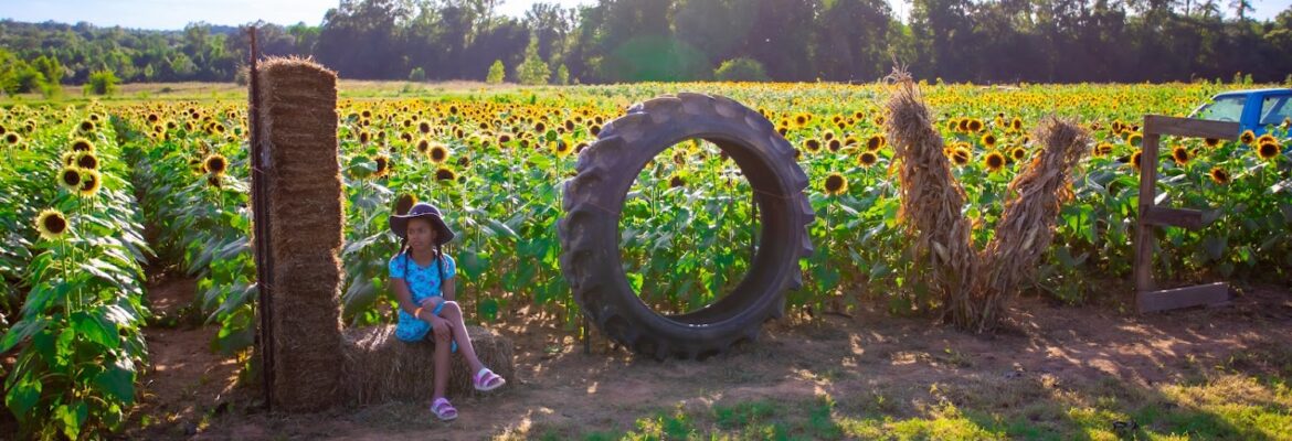 Asha Moreno Photography