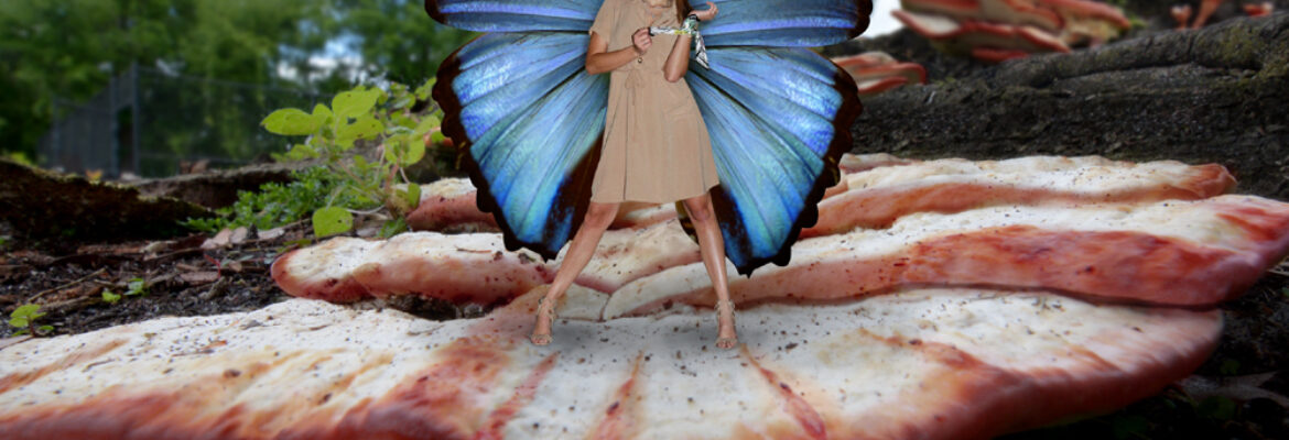 Fairytalepics.com