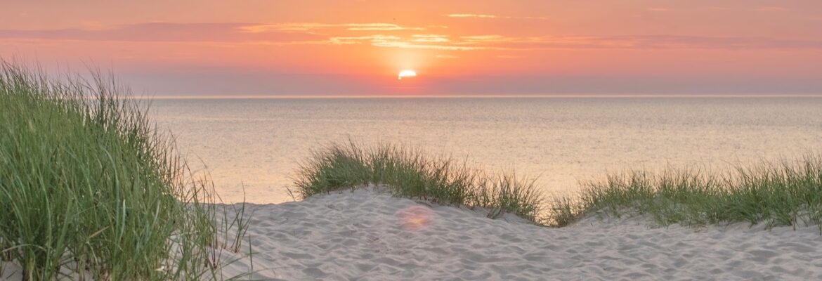 Simply Laurie Photography