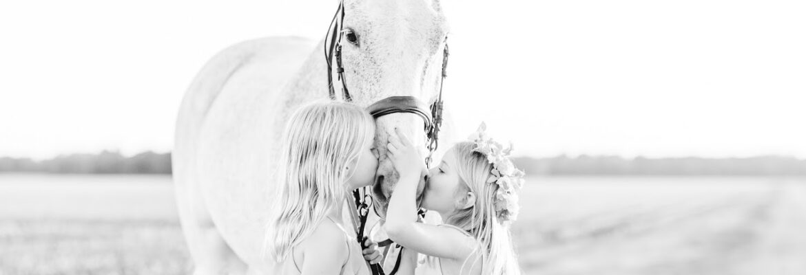 Catherine Michele Photography