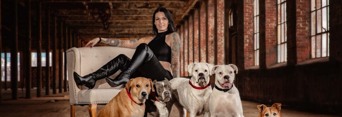 Haute Dog Pet Photography