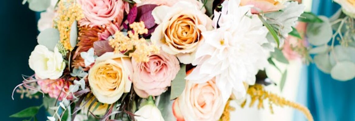 Olivia Hatfield Photography
