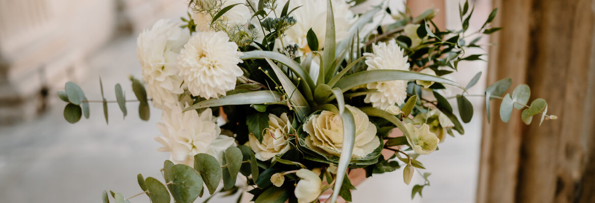 RayLynn Photography LLC
