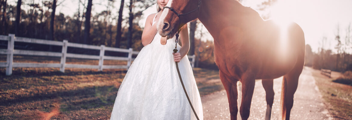 Chris Brehmer Photography