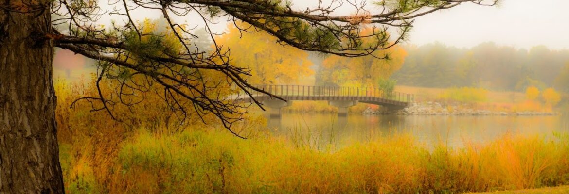 Photography by Keller