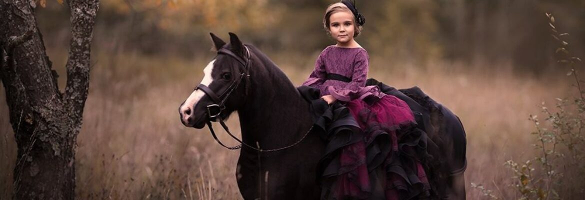 Annelise Nicole Photography
